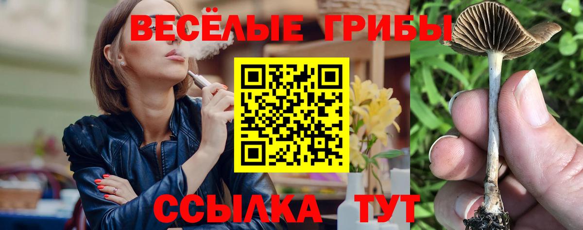 Мирный  Галлюциногенные грибы Psilocybe  Вход с VPN 